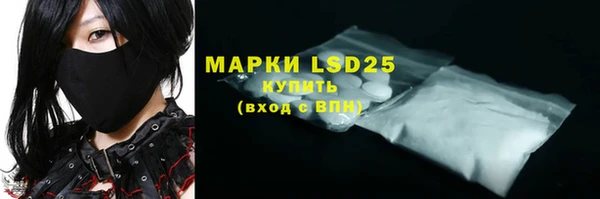 мяу мяу мука Аркадак