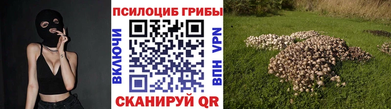 OMG ССЫЛКА  даркнет сайт  Уяр  Псилоцибиновые грибы GOLDEN TEACHER 